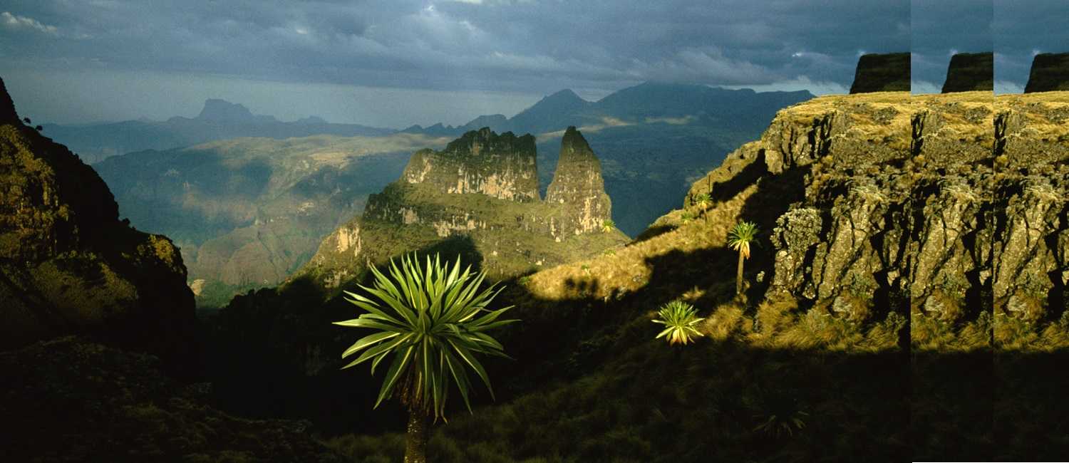 Bale Mountains, Ethiopia